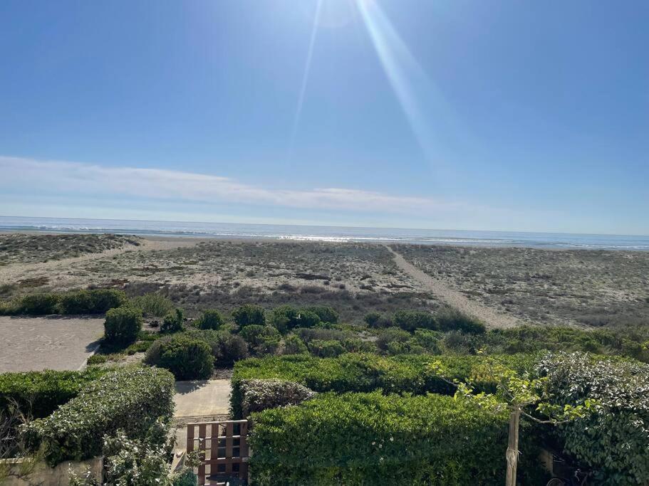 Port Leucate : Superbe Appartement Pleine Vue Mer Eksteriør billede